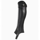 Mini-chaps Quinton Horze Supreme