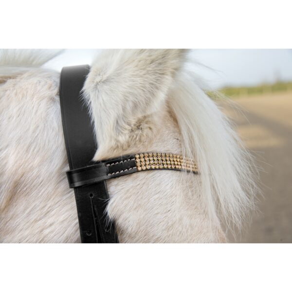 Bridon Horze Poney