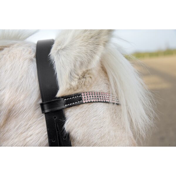 Bridon Horze Poney