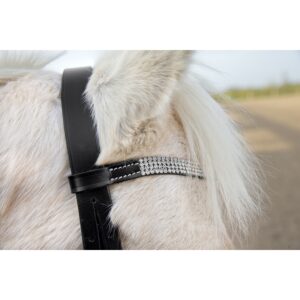 Bridon Horze Poney