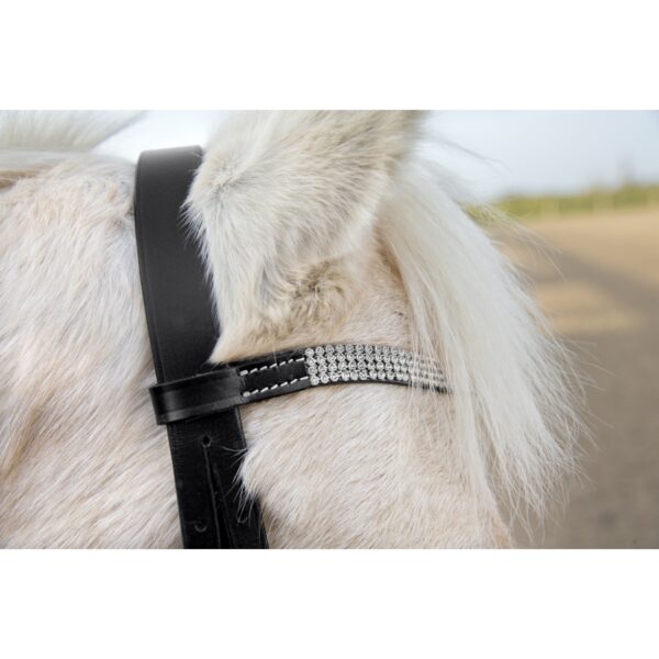 Bridon Horze Poney