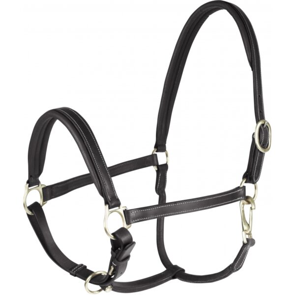 Licol cuir Largo Horze - Noir